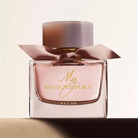 burberry la baie|Burberry Women's Perfume .